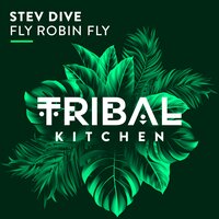 Fly Robin Fly - Stev Dive