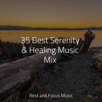 Sounds Eternal - Academia de Música con Sonidos de la Naturaleza & Meditation & Stress Relief Therapy & Musica relajante