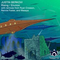 Environ - Justin Berkovi