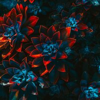 Rookie of the Year - Spitty