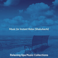 High Class Vipassana Meditation - Relaxing Spa Music Collections