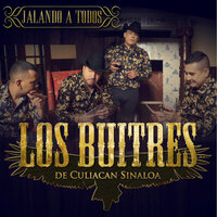 Hay Alguien Aqui - Los Buitres De Culiacán Sinaloa