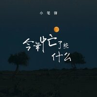 今年忙了些什么 - 小笔锋