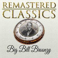 The Southern Blues - Big Bill Broonzy