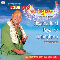 Chamke Chapla Garaj Rahe - Baba Rasika Pagal