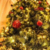 Getting in the Spirit - Weihnachtslieder & Christmas Eve & Celtic Christmas