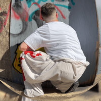 Too Good to Be True - Joe Raphael