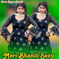 Meri Bhandi Sexy - Rahul Singer Mewati