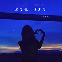 忘了你,忘不了 - 小雨点