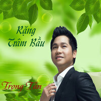 Nhịp cầu nối những bờ vui - Trong Tan