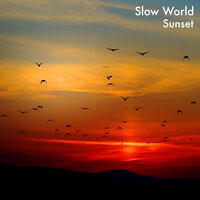 Jeunesse - Slow World
