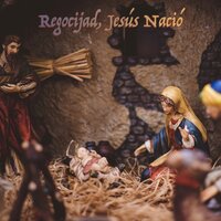 Noche de Paz - Canciones de Navidad Escuela & Canciones De Navidad & Canciones De Navidad Y Villancicos De Navidad