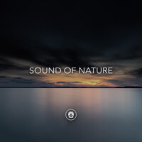 Midnight Thunder - Nature Sounds Nature Music