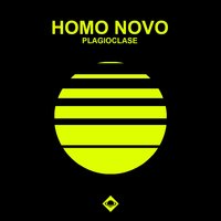 Plagioclase - Homo Novo