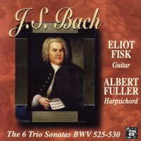 Trio Sonata In C Major, BWV 529: II. Largo - Albert Fuller & Eliot Fisk & Johann Sebastian Bach