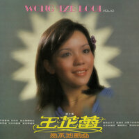 南海姑娘 - 王芷蕾