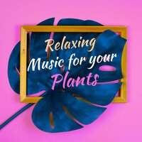 Music Stimulation - Indigo Flower