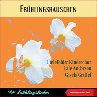 Leis' im Park erklingt die Kleine Nachtmusik - Benny de Welle & sein Orchester & Lale Andersen