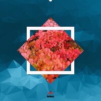 Distractions - Paul Kenny