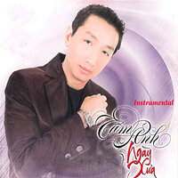 Áo cưới không nàng dâu - Trường Vũ