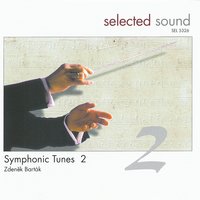 Fatal Time - Zdenek Bartak