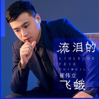 流泪的飞蛾 - 崔伟立