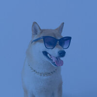 Jazz Ballad Soundtrack for Well Trained Dogs - Dog Therapy Music