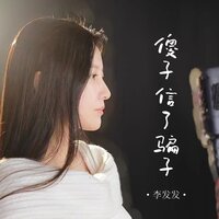 傻子信了骗子 - 李发发