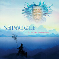 Star Shpongled Banner - Shpongle