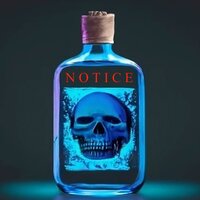 Notice - Le RizCouchet & De Coma