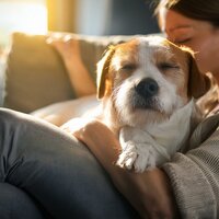 Marcos Rítmicos Para Perros - Latidos Binaurales Entretenimiento de Ondas Cerebrales & Famosa música para perros & Club de Música para Perros