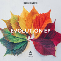The Evolution - Bcee & Degs & Kubiks