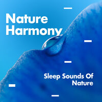 Breeze - Sleep Sounds Of Nature