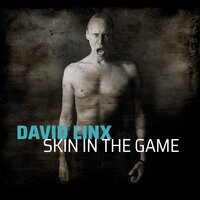 A Fool's Paradise - David Linx