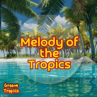 Passion in Latin Echoes - Groove Tropics