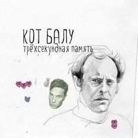Письма к стене - Кот Балу