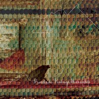 O Osso - Rodrigo Maranhão