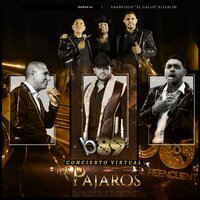 Los Pájaros - Francisco El Gallo Elizalde & Banda 89