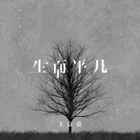 生而平凡 - 王富贵