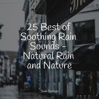 Rain Out Back - Asmr Sleep Sounds & Healing Sounds for Deep Sleep and Relaxation & Classical New Age Piano Music