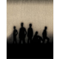 Forbidden Fruit - The Band