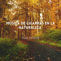 El Grillo De Casa - Música para Dormir Con Relajantes Sonidos de la Naturaleza & Música De Relajación Para Dormir Profundamente & Dormir Bien