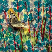 Racing a Butterfly - Anne Mette Iversen Quartet & Anne Mette Iversen