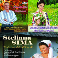 Ma Pusei in Pat Lungit - Constantin Enceanu