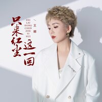 只来红尘这一回 - 王娜
