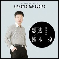 想逃逃不掉 - 望海高歌