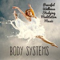 Meditation Techniques - Equilibre Study Mind