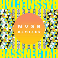 Noise - Bassnectar & Donnis