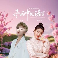 风雨中的诺言 - 王娜 & 倪尔萍