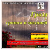 Горный ручей с летних осадков: звуки природы - Amadeus